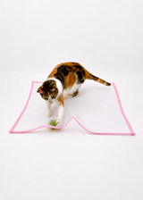 Sheer Fun For Cats (new version pink🌸 velcro attachments not included) Sale ends 8/24/2026