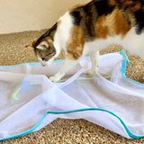 Sheer Fun Cat Toy- Sale! Ends 4/30/2025🐱🌸