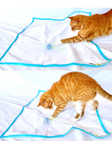 Sheer Fun Cat Toy- Sale! Ends 4/30/2025🐱🌸