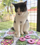 Fancy Felt Toys (3 Pink Round Felts) On sale!